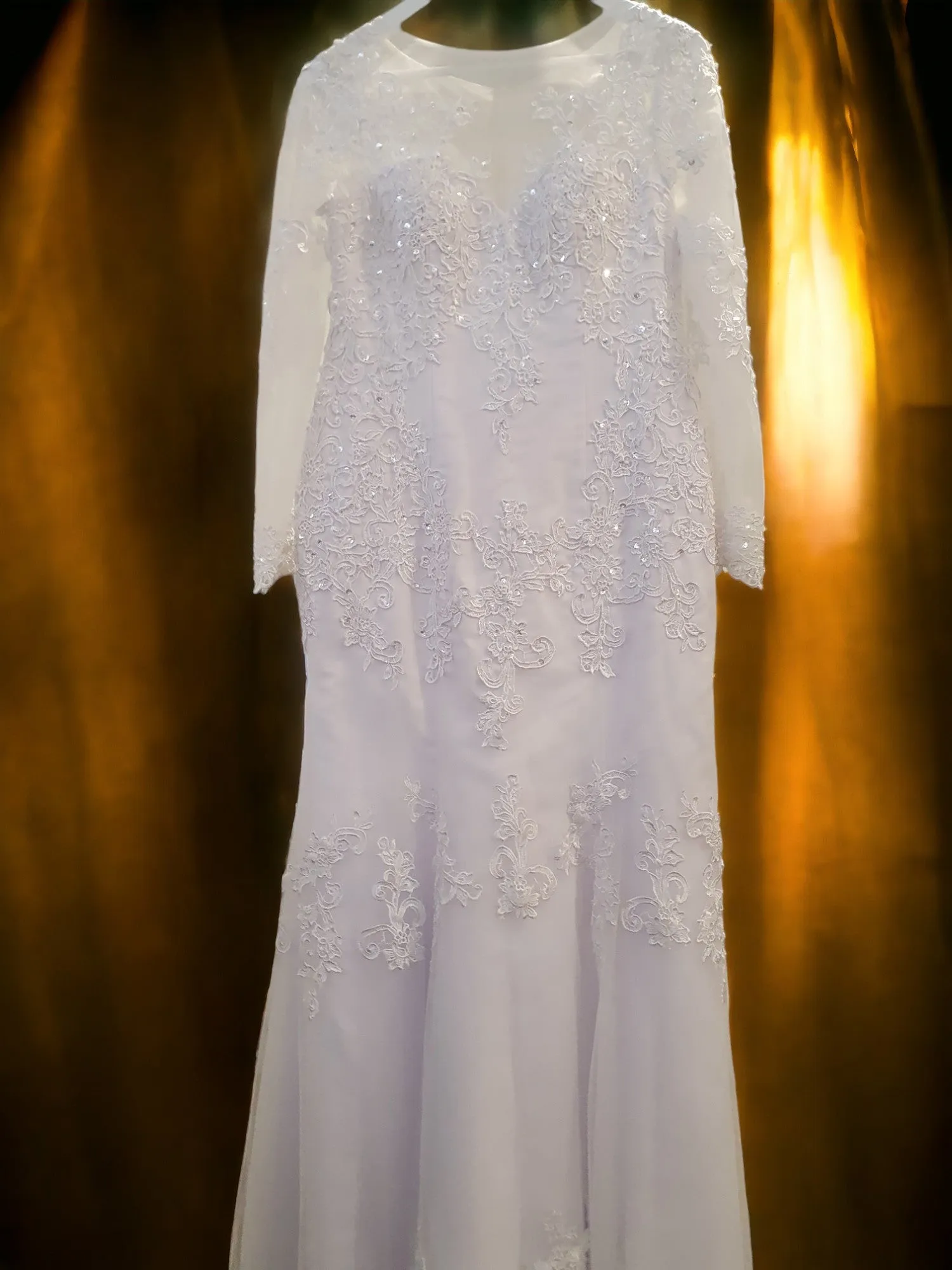 Fit and Flare Lace Gown with Sleeves