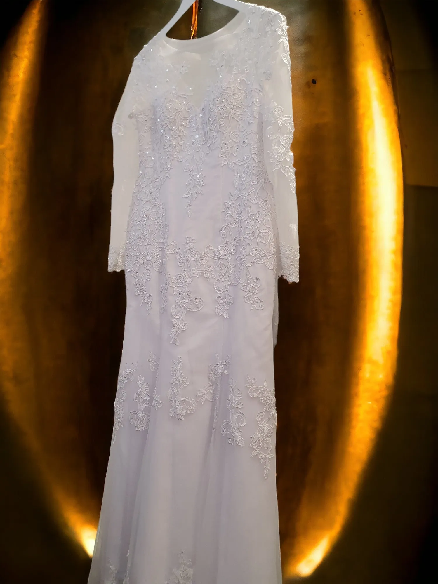Fit and Flare Lace Gown with Sleeves